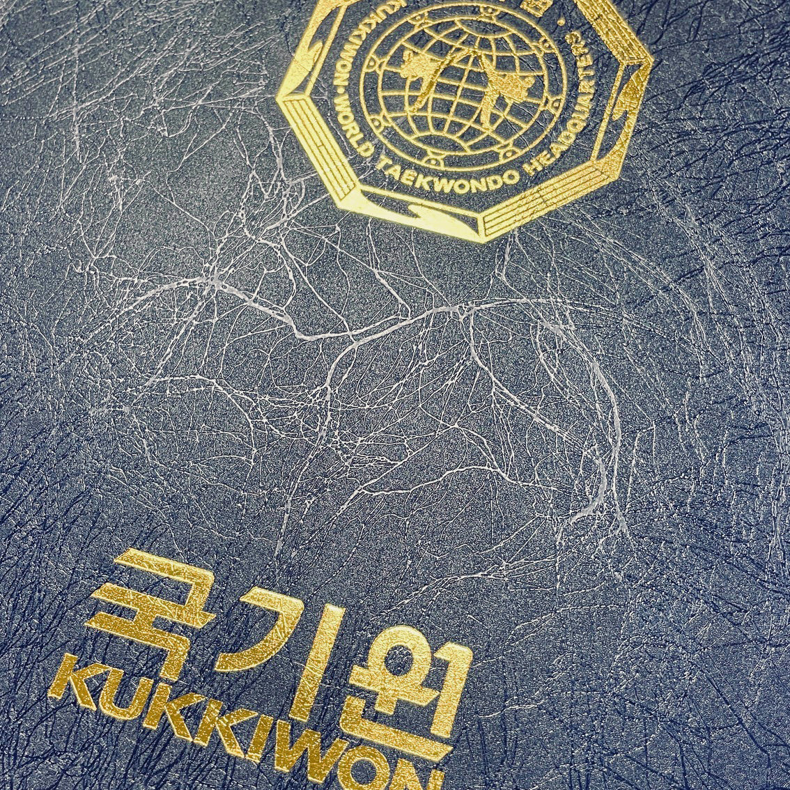 KUKKIWON DAN CERTIFICATE CASE