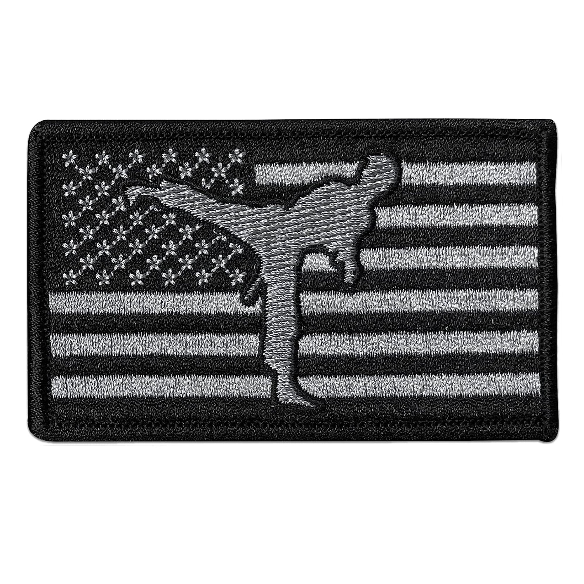 AAMA Taekwondo Kick USA Embroidered Flag Iron On Patch
