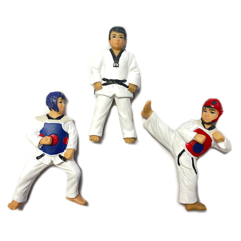 AAMA Taekwondo Fridge Magnet